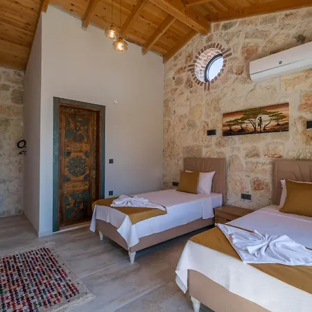 Villa Mugla Stone Daylight 1 *