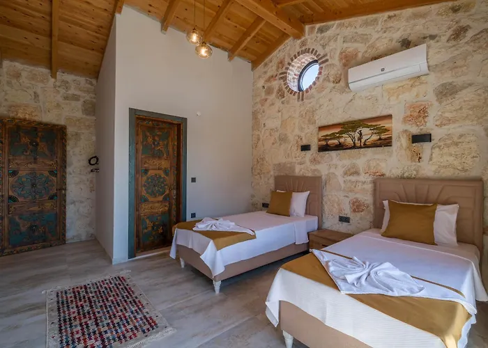 Villa Muğla Stone Daylight 1 *