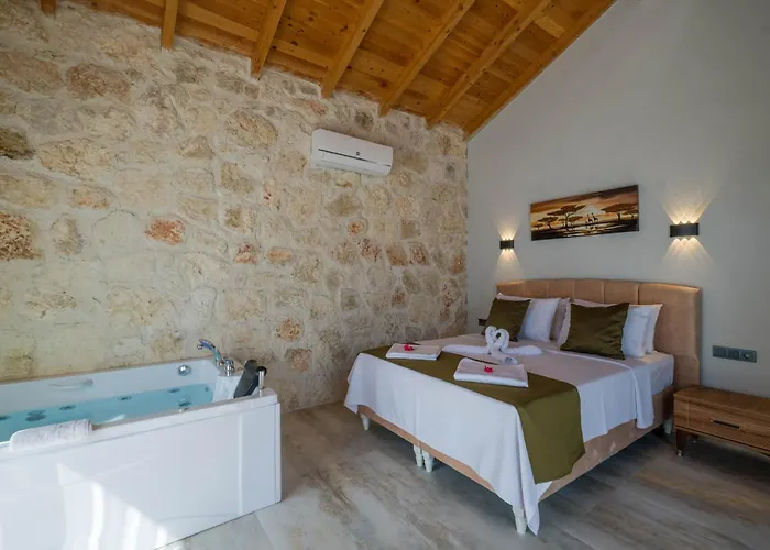 Muğla Stone Daylight 1 Villa *