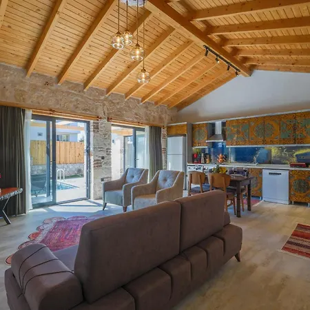 Villa Mugla Stone Daylight 1 *