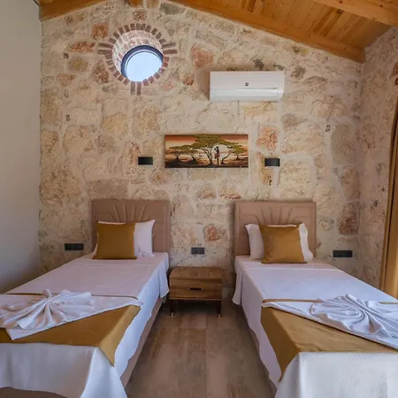 Mugla Stone Daylight 1 Villa *