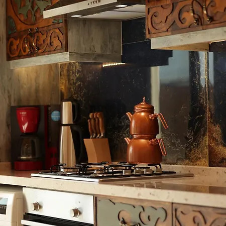 Villa Mugla Stone Daylight 1