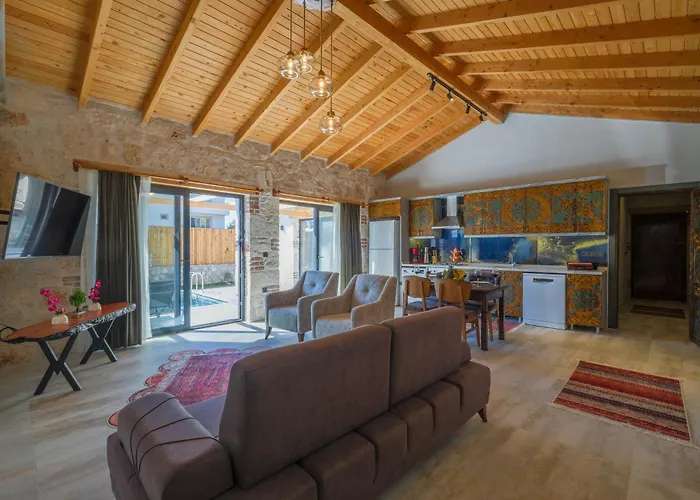 Villa Mugla Stone Daylight 1 *