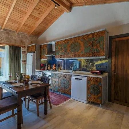 Villa Mugla Stone Daylight 1 Fethiye