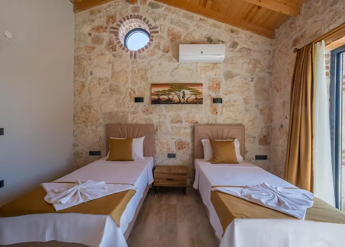 Mugla Stone Daylight 1 וילה *